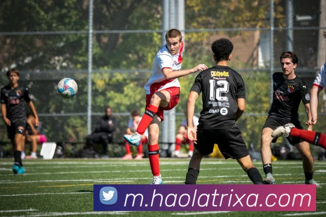 App Interface Preview