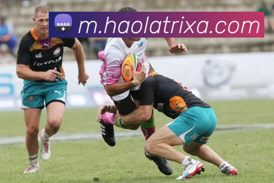 豪利体育APP 封面图